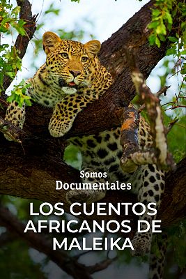 Somos Documentales - Los cuentos africanos de Maleika