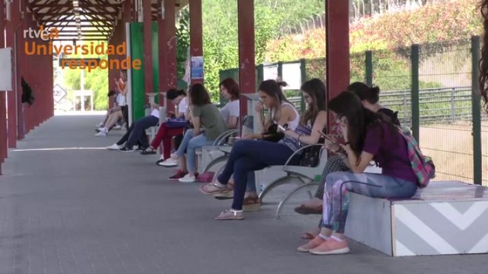 La aventura del Saber - ¿Hay algún modo de acabar con el cyberbullying?