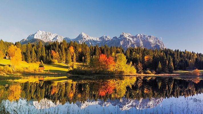 Bosque bávaro: Bosque encantado en el Sur de Alemania