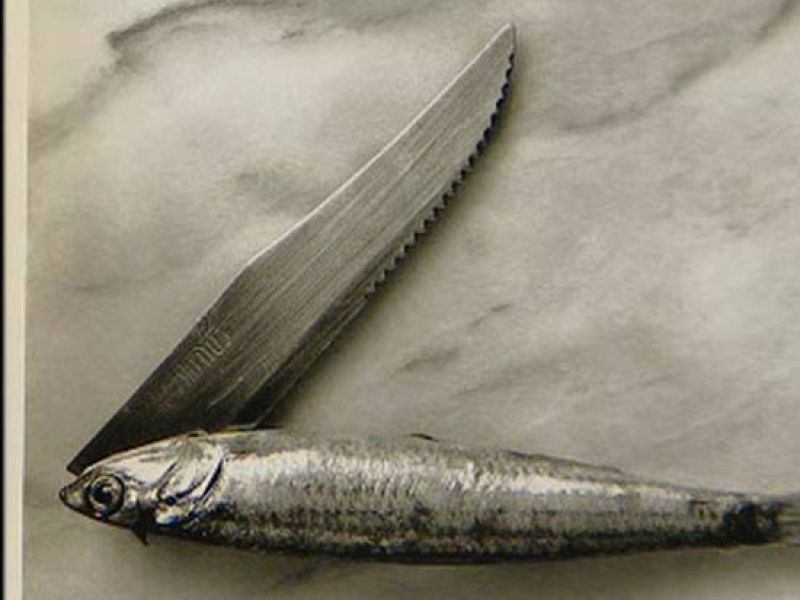 Greguerias ilustradas por el fotógrafo Chema Madoz