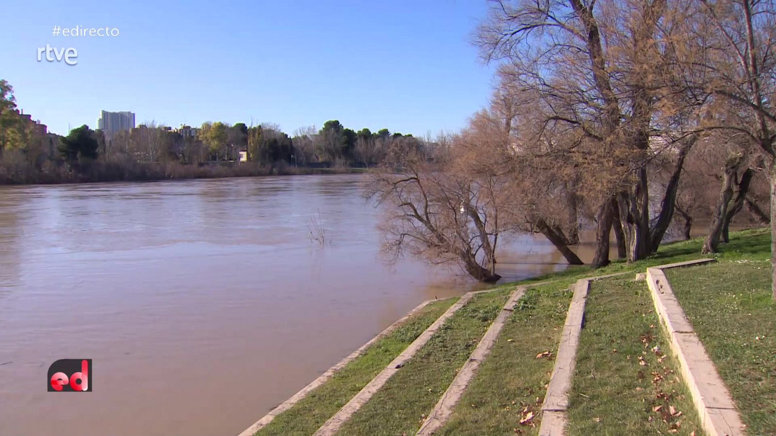 España Directo - 12/01/22 - ver ahora