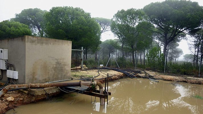 Varios partidos de la oposición andaluza y ecologistas rechazan regular los regadíos ilegales en Doñana