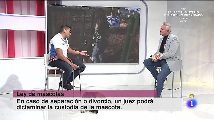 Cerca de ti - Cerca de ti - 13/01/2022