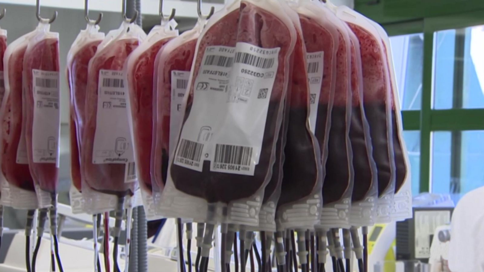 La tarde en 24 horas - 13/01/22 (1) - ver ahora