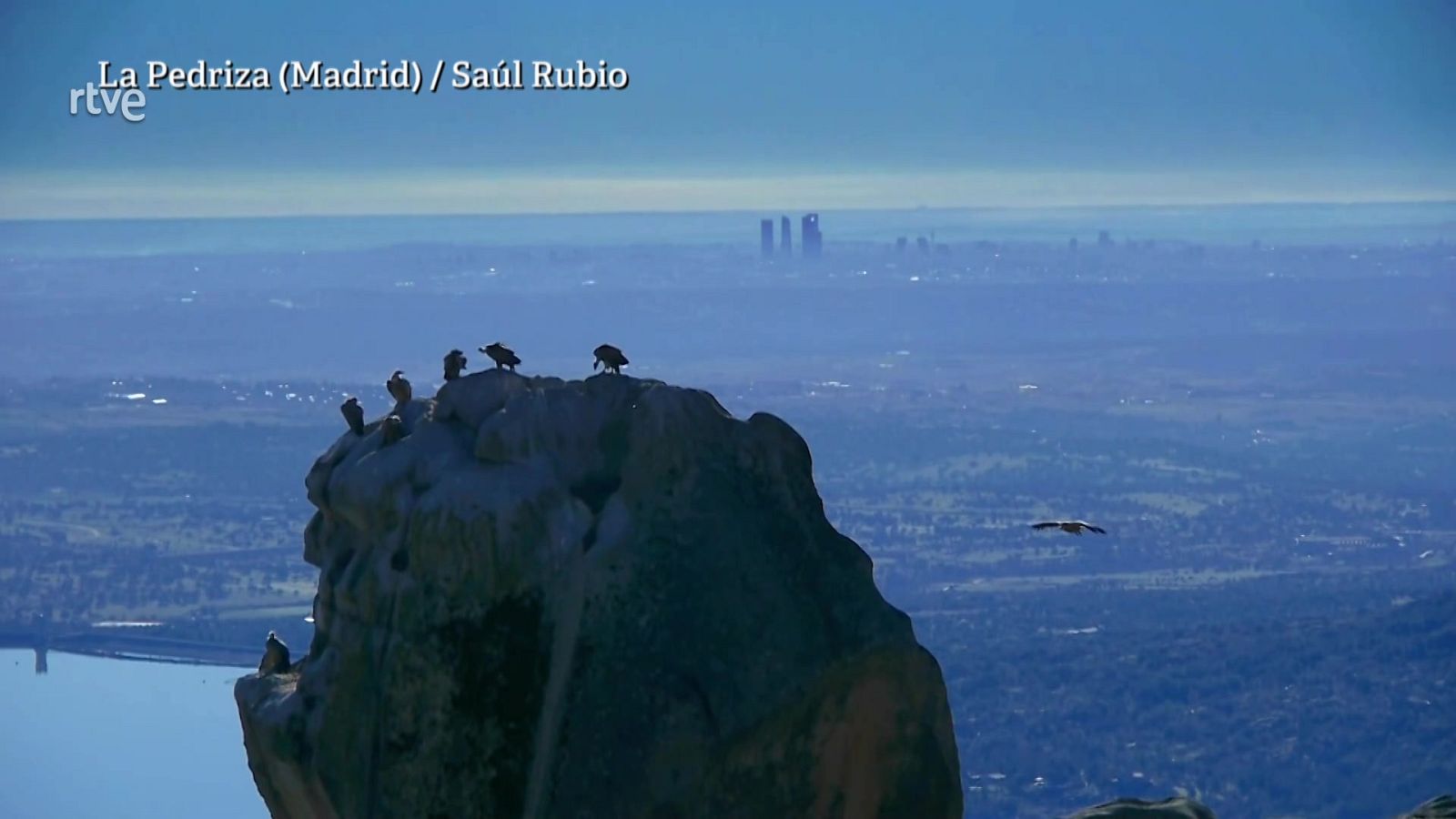 Aquí la Tierra - 13/01/22 - ver ahora