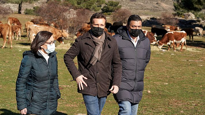 Casado: "En la ganadería intensiva no se maltratan animales"