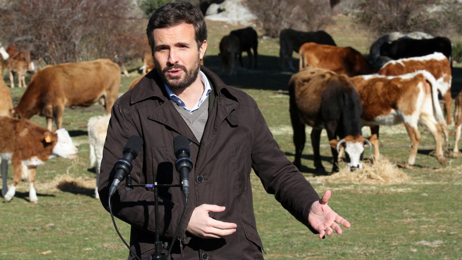 Casado critica a Sánchez por no cesar a Garzón tras sus palabras sobre macrogranjas: "Es un presidente débil"