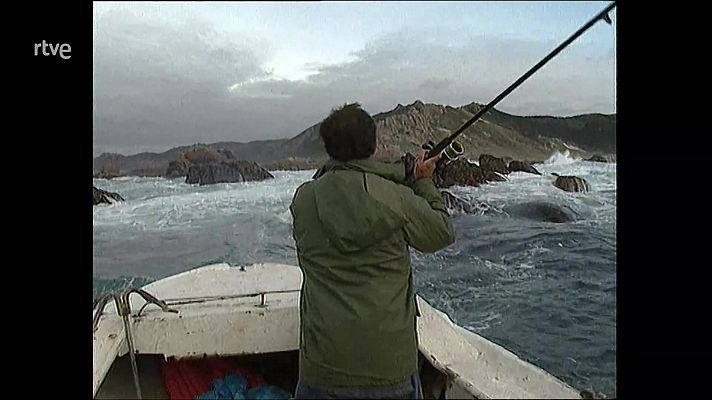 DVD Jara y Sedal Nº 22. Pesca