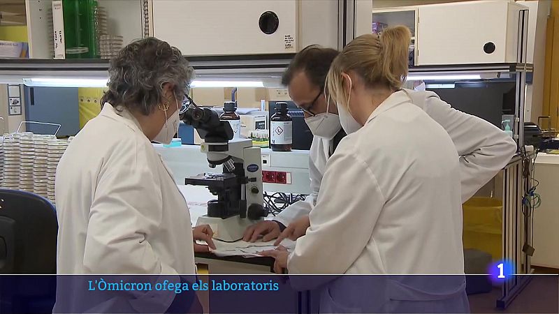 La variant òmicron ofega els laboratoris