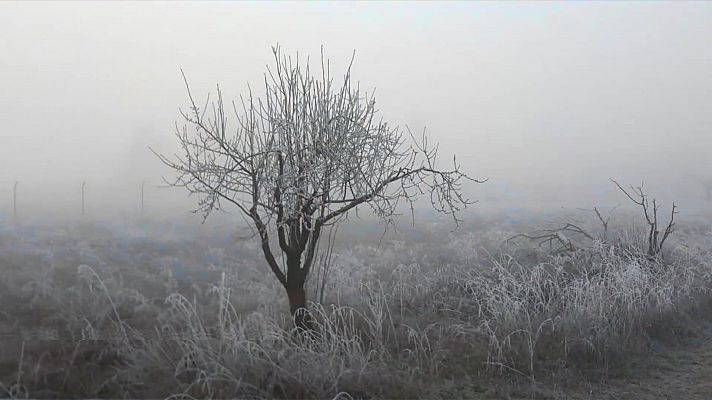 Heladas de cierta intensidad en buena parte del interior norte, centro y este de la Península, así como en Baleares