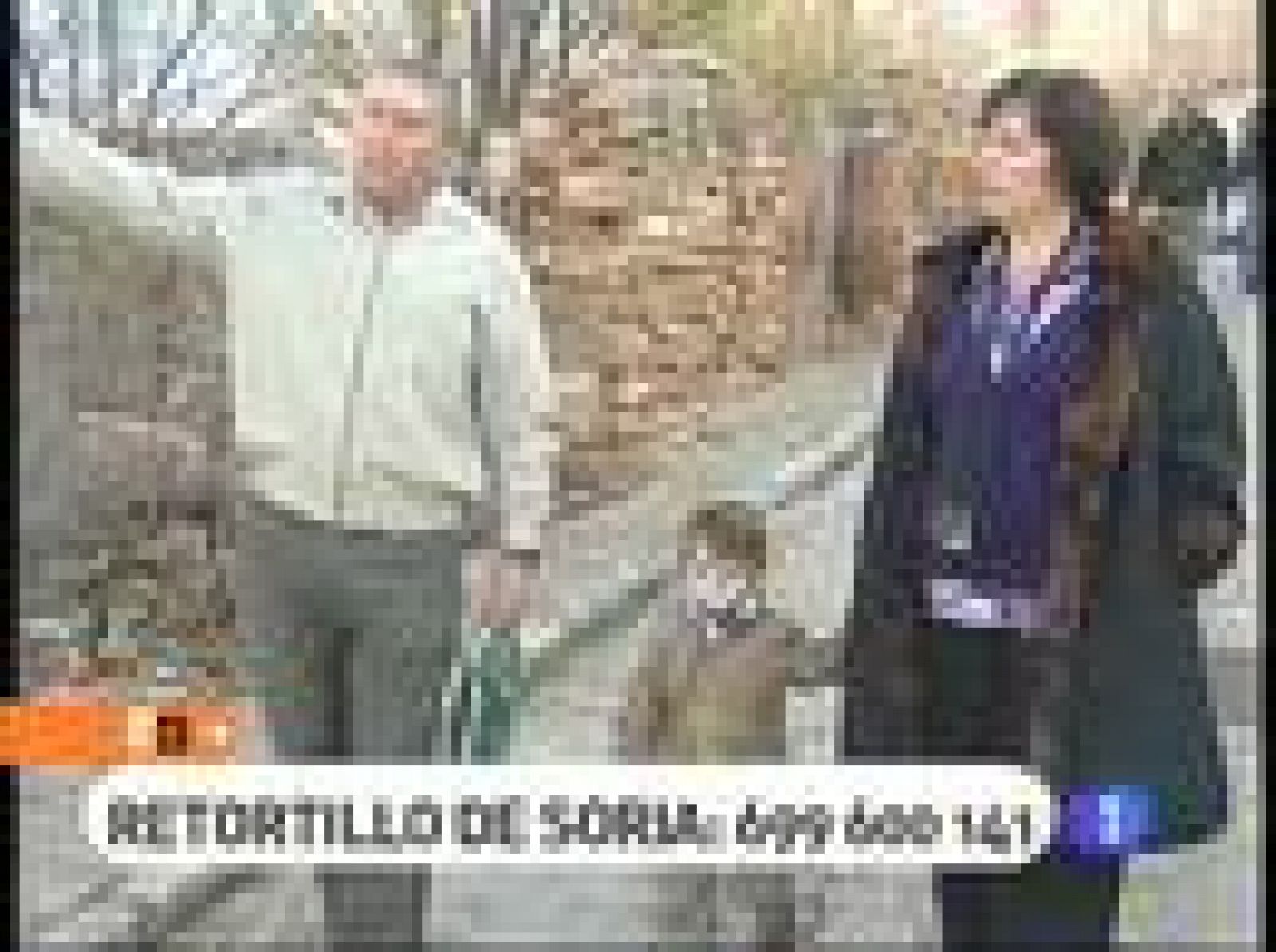 España Directo - Se buscan familias | Ver