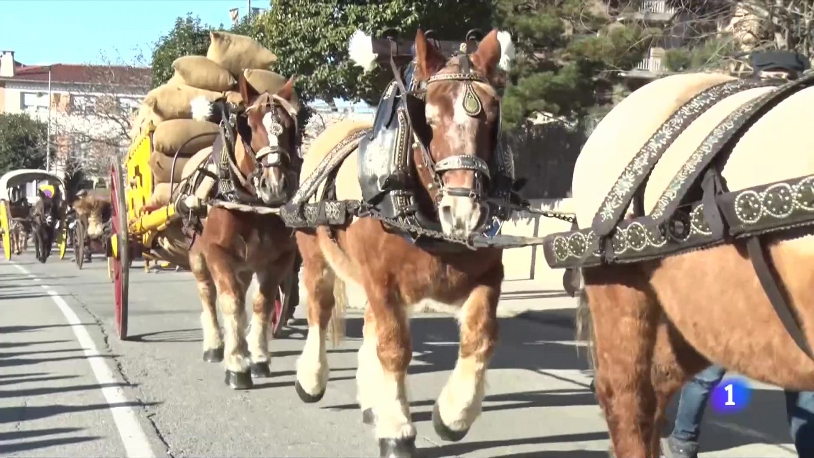 Torna la desfilada dels Tres Tombs