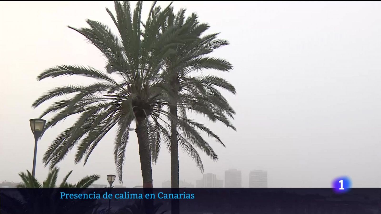 Telecanarias: Canarias en 2' - 16/01/2022 | RTVE Play