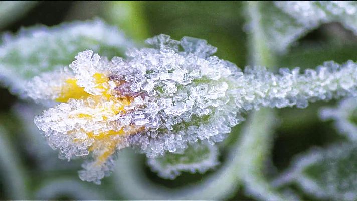 El tiempo - Heladas intensas en buena parte del interior, norte y este de la Península