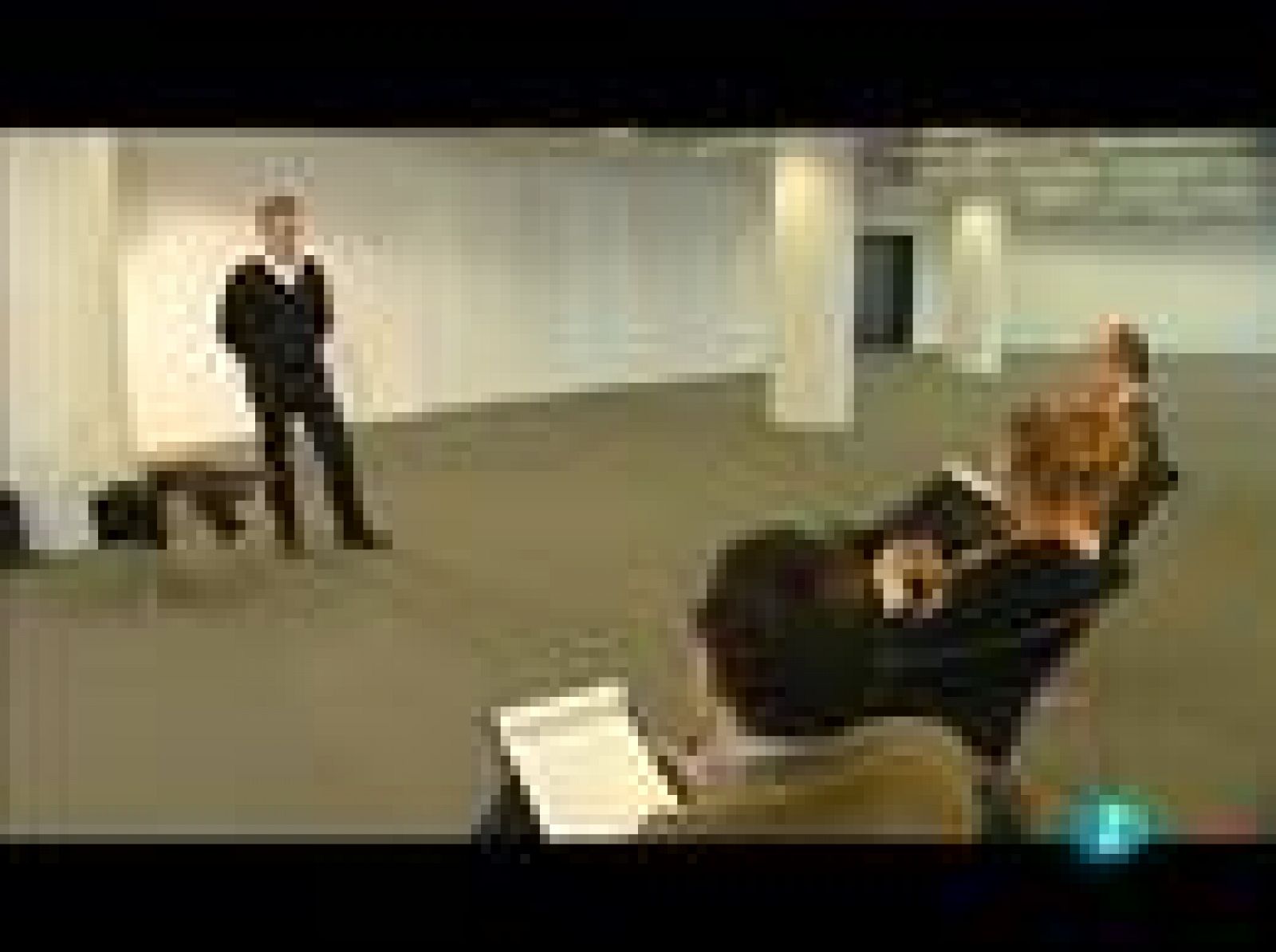 Fábrica de ideas - Opinión expertos: Cooked in Barcelona | Ver