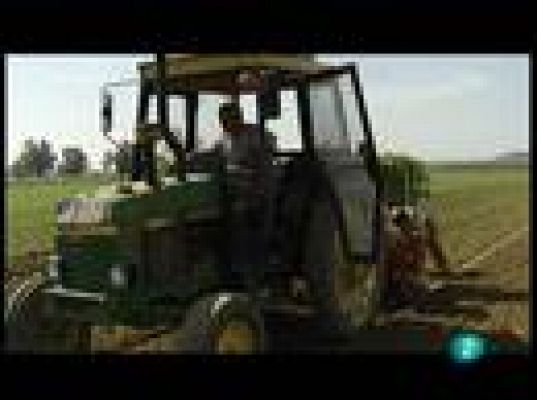 Fábrica de ideas - Innova: CTAEX