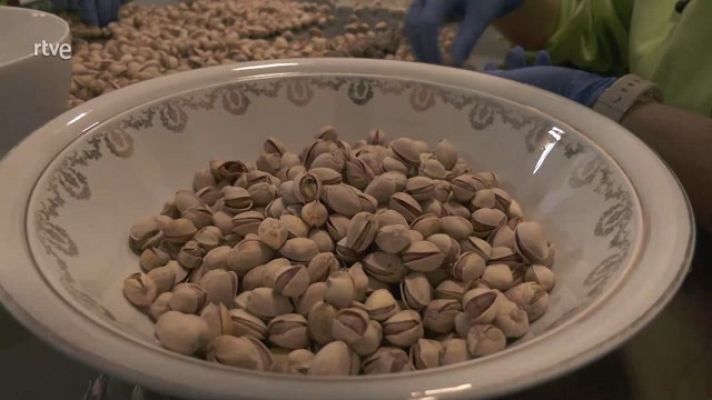 Aquí la Tierra - Las propiedades del pistacho