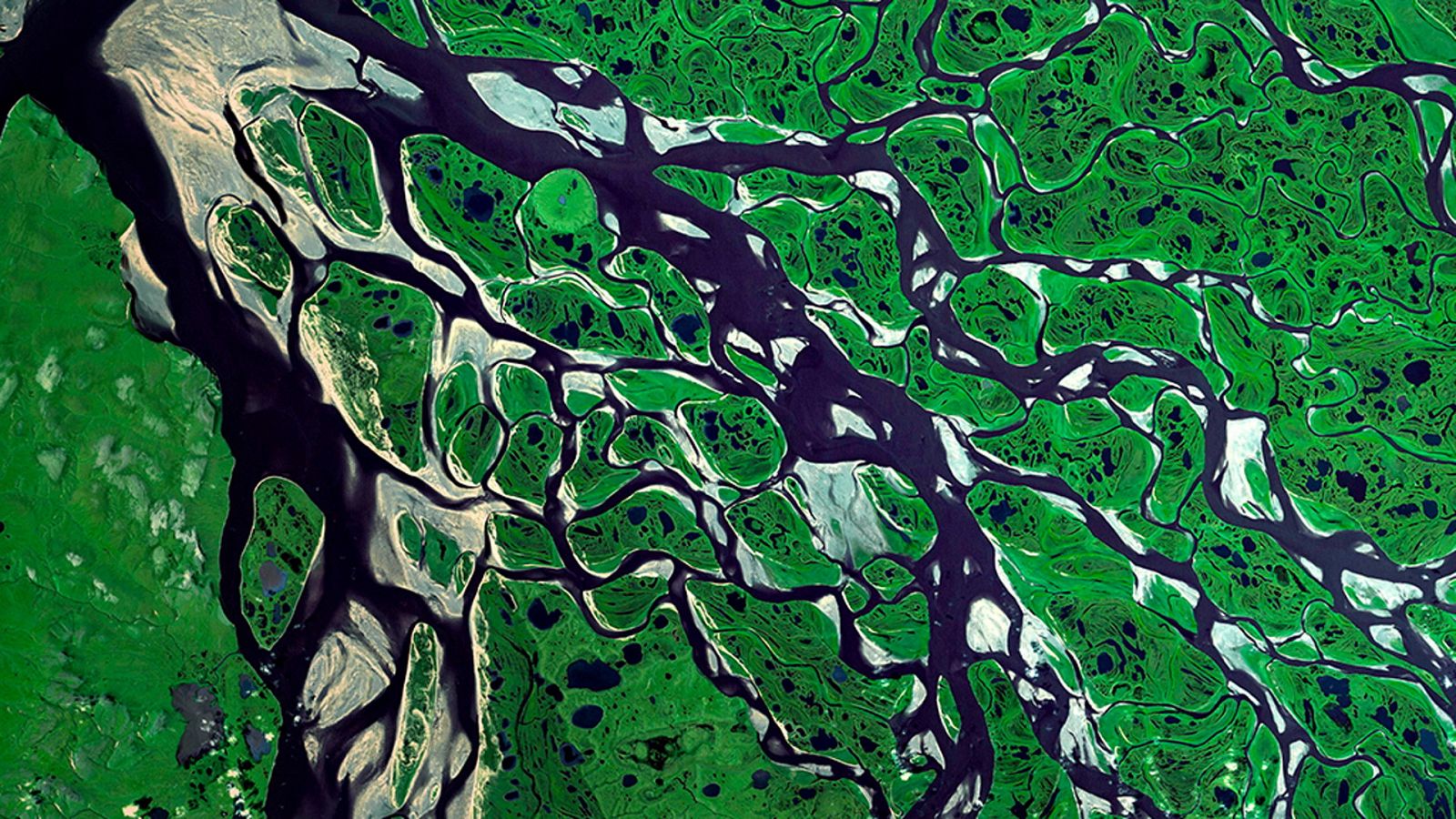 Nuestro Planeta - Terraformación - ver ahora