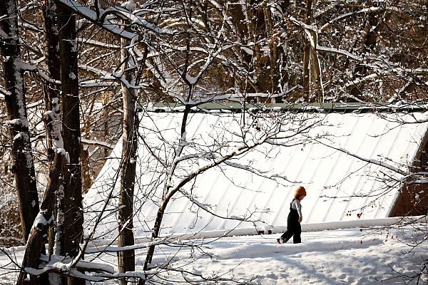 Telediario 1 - Un temporal de nieve arrasa la Costa Este en Estados Unidos