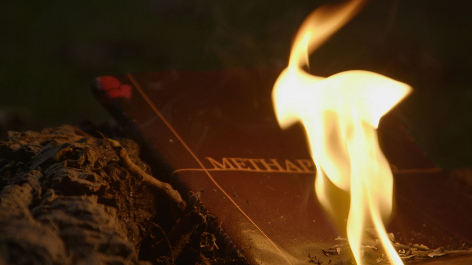 This is Philosophy - Programa 2: Aristóteles - ver ahora