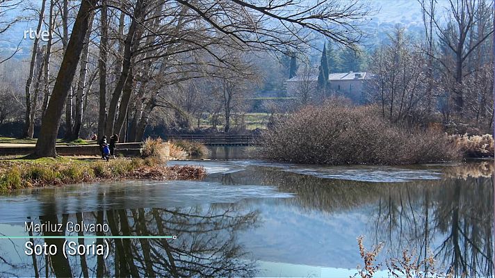 El tiempo - En Canarias, vientos del sureste con intervalos de fuerte y, en las islas occidentales, precipitaciones y tormentas localmente fuertes o persistentes