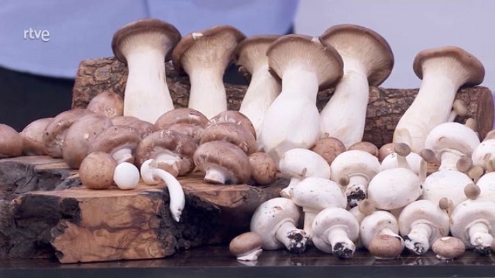 Aquí la Tierra - Comer setas en invierno es posible