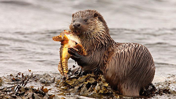 Cornualles, la vida en los confines del mundo