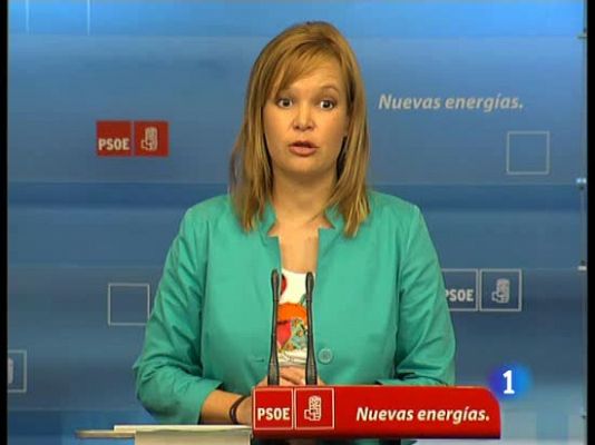  - Pajín más cerca de ser senadora