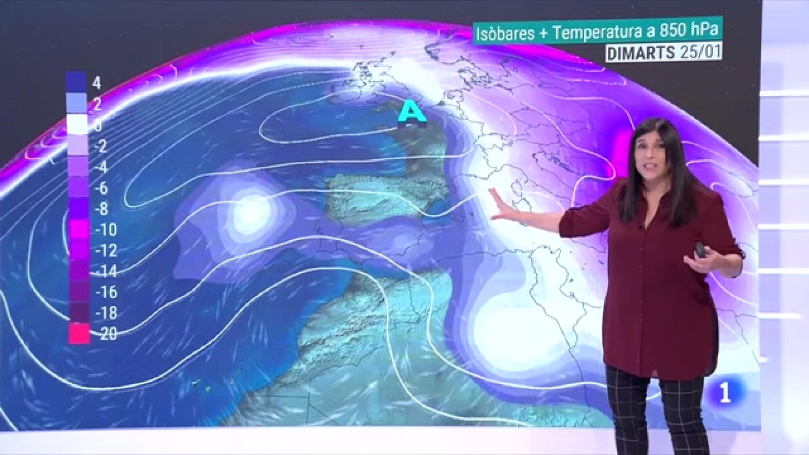El Temps (19/01/2022) - El fred i l'anticicló, no tenen data de caducitat