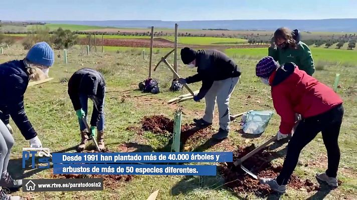 Recuperar los bosques reforestando