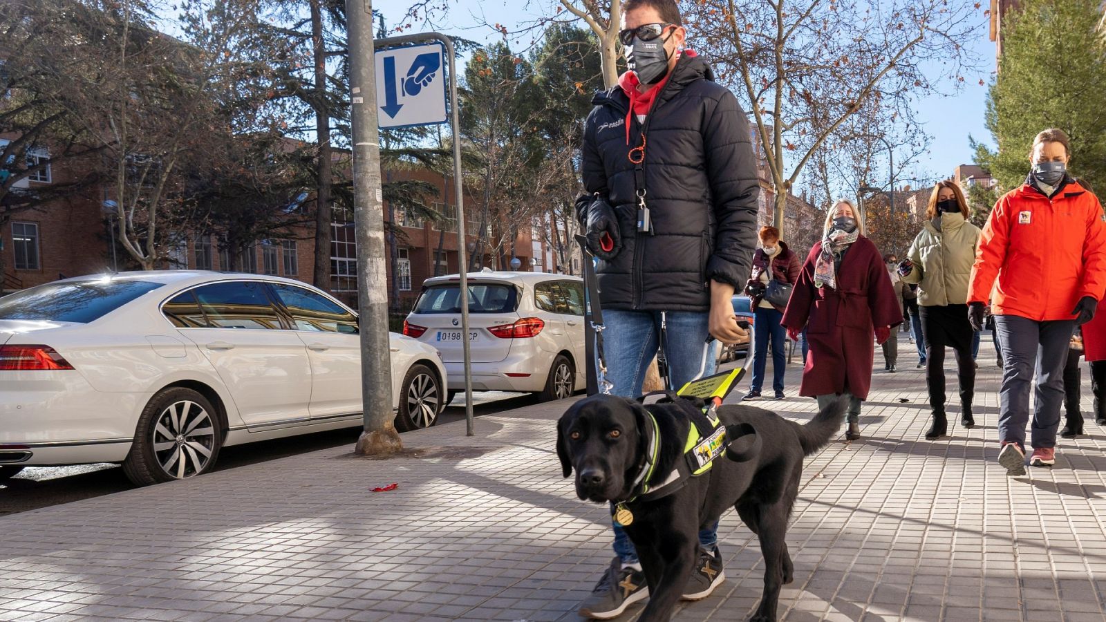 Xabat, el único perro guía del mundo que permite caminar por la vida a Alberto