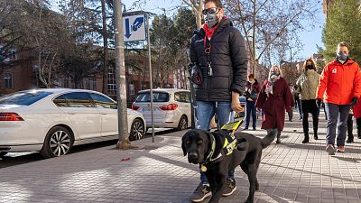 Xabat, el nico perro gua del mundo que permite caminar por la vida a Alberto, un joven ciego sin brazos