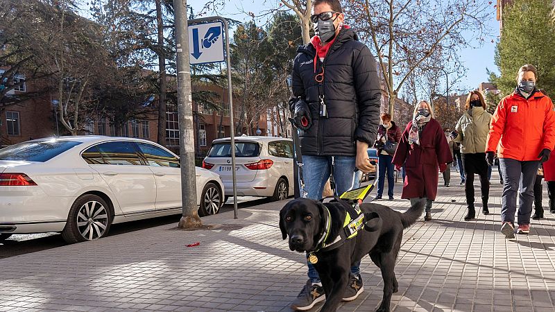 Xabat, el �nico perro gu�a del mundo que permite caminar por la vida a Alberto, un joven ciego sin brazos
