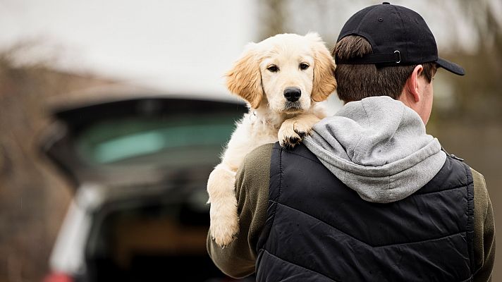 Los jueces empiezan a aplicar la nueva ley del bienstar animal