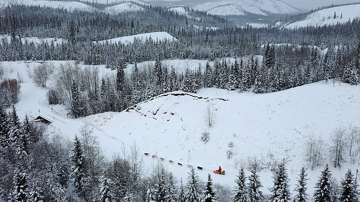 El buscavidas y el musher - La gran salida