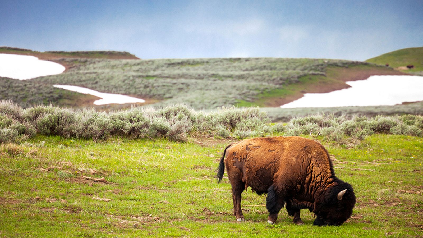 El gran deshielo americano - La primavera más dura - ver ahora