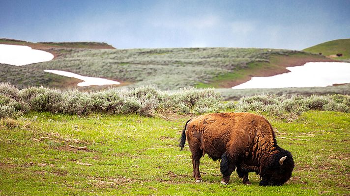 El gran deshielo americano - La primavera más dura