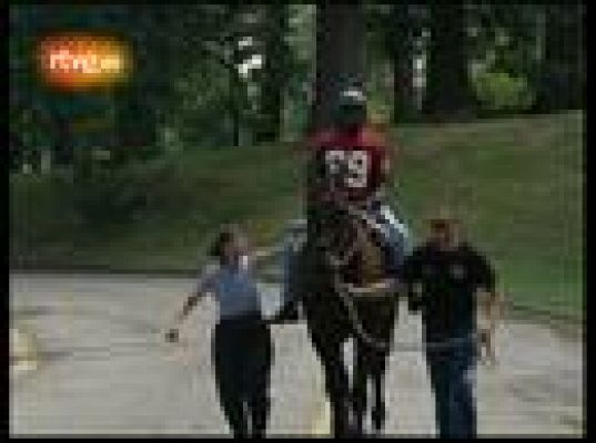  - Hípica como terapia