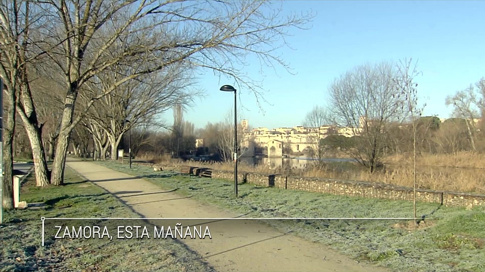Heladas intensas en los entornos del sistema Ibérico y Pirineos - ver ahora