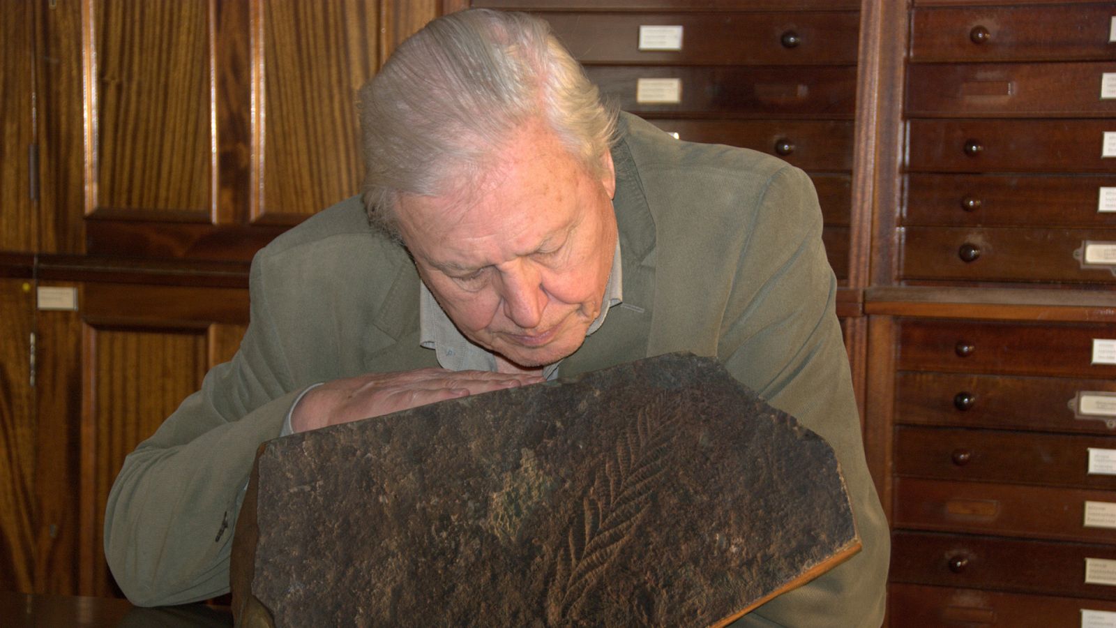 Vida primigenia - La llegada - ver ahora