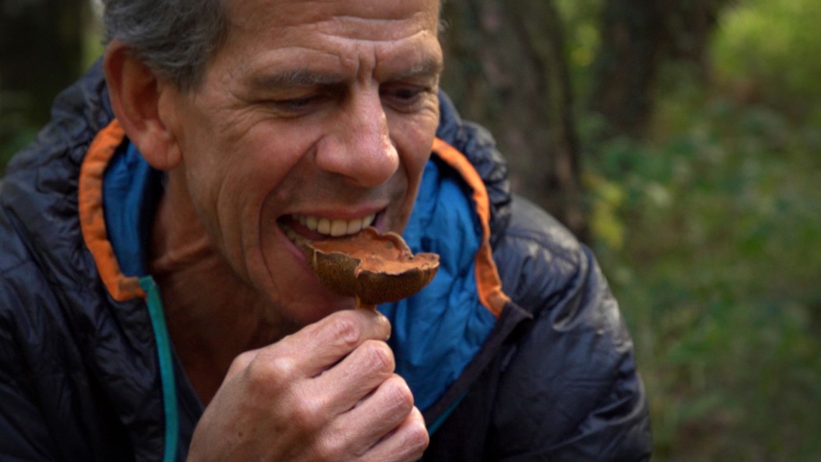 El señor de los bosques - Valle de Losa (Burgos) - ver ahora