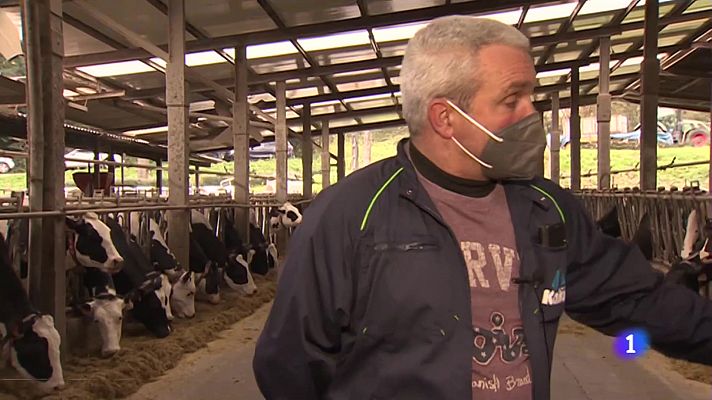 Telenavarra - Navarra  y otras tres CCAA crean un consorcio de explotaciones ganaderas