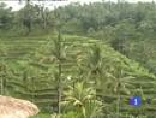 Españoles en el mundo - Bali