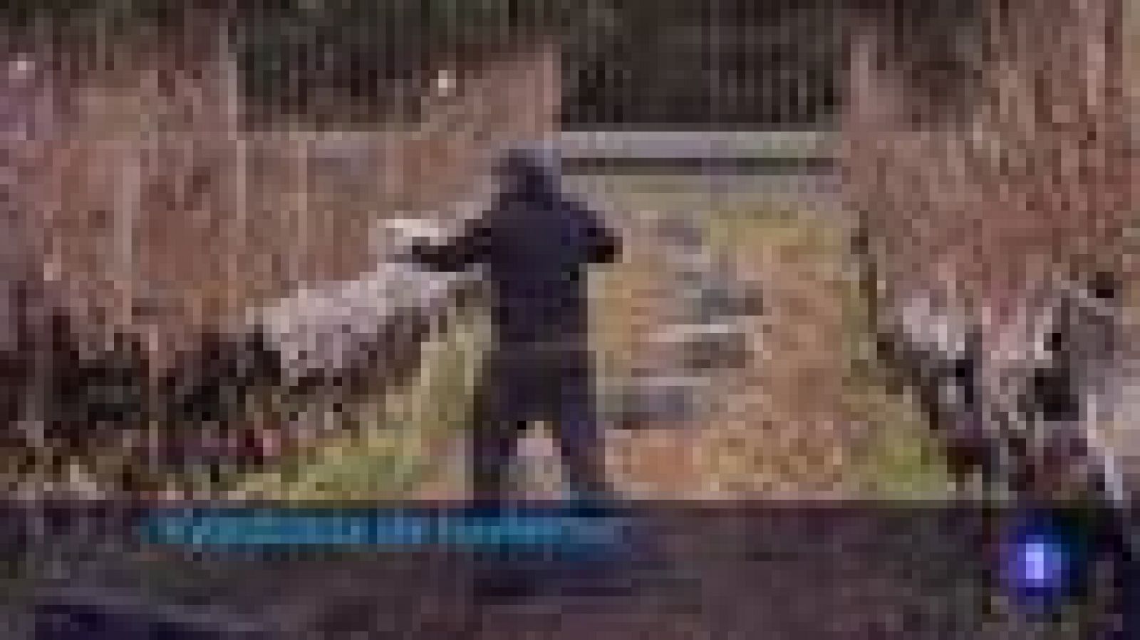 Telerioja en 2' - 21/01/22-Ver ahora