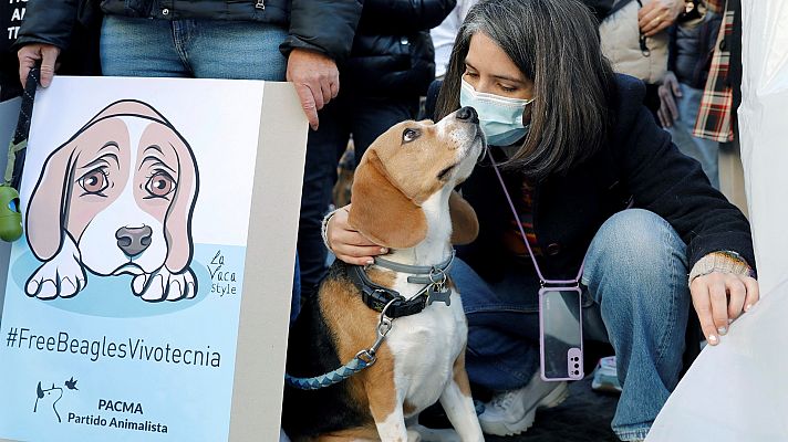 Telediario Fin de Semana - Protestan contra la experimentación de un fármaco con perros
