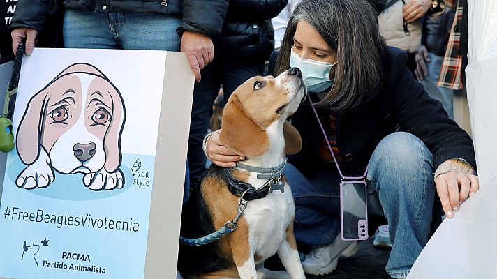 Telediario Fin de Semana - Protestan contra la experimentación de un fármaco con perros