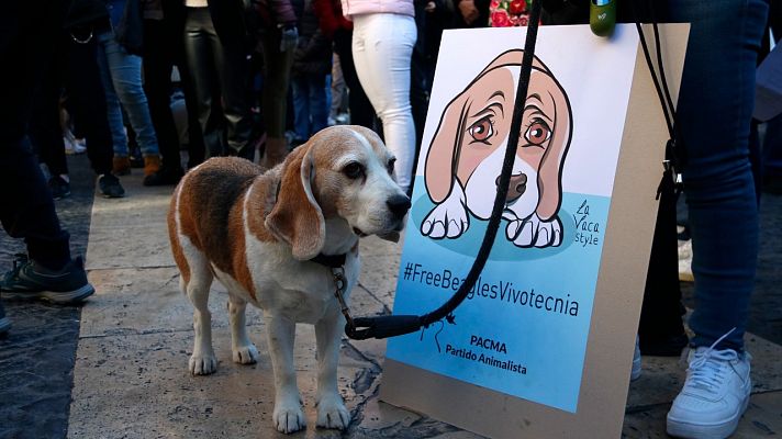 Centenars de persones reclamen la suspensió d'un experiment amb gossos