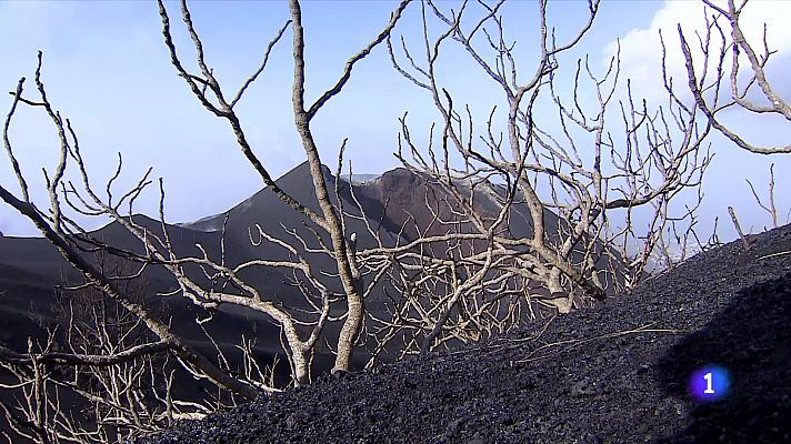 Telediario Fin de Semana - El acceso a las zonas más cercanas al volcán de La Palma sigue restringido