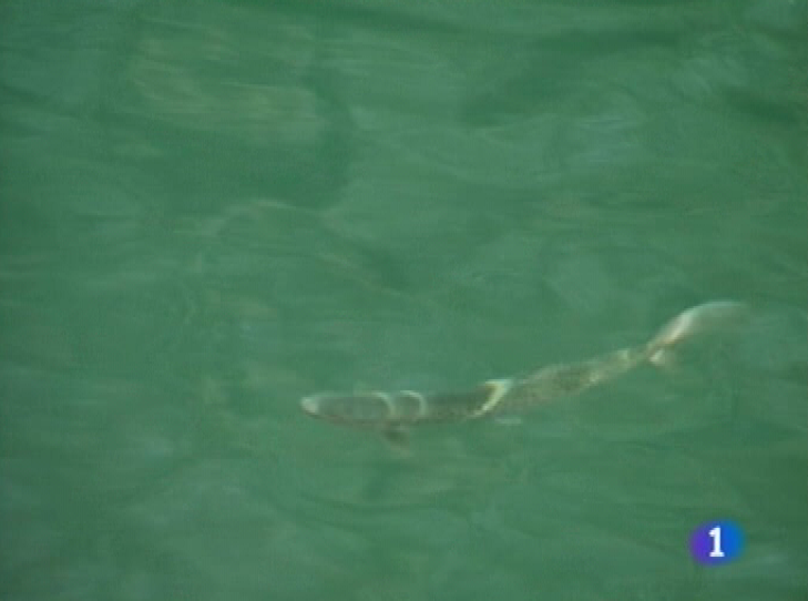 Panorama regional - 18/11/09 - Panorama Regional | Ver