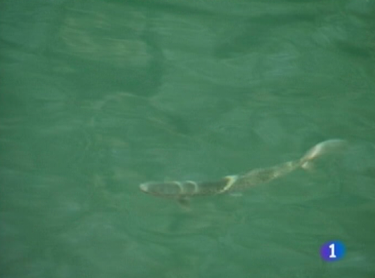 Panorama Regional - Panorama regional - 18/11/09